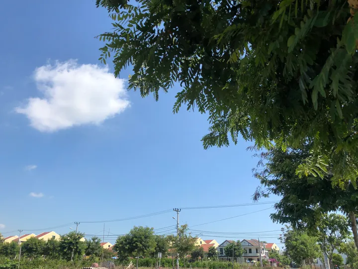 Bán đất đường rộng 10,5m -  Cách Bờ hồ Trảng Kèo Hội An chỉ 600m. Thích hợp nhà vườn sinh thái (MS211)